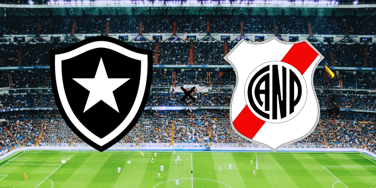 Palpites Botafogo x Nacional Potosí: Onde assistir e horário (25/02/2026)